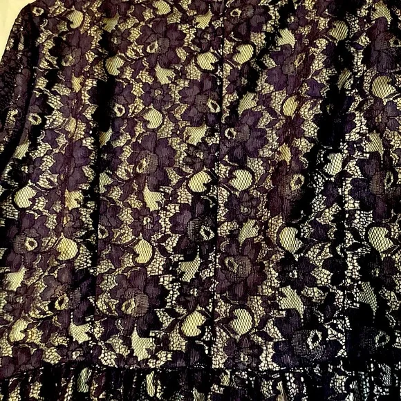 French Connection Navy Blue Lace Dress - Picture 6 of 15